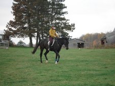 Enlarge photo 34