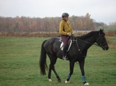 Enlarge photo 44