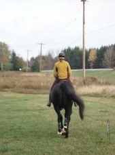 Enlarge photo 28