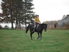 Enlarge photo 35