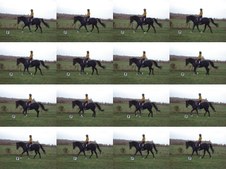 Enlarge photo 41
