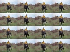 Enlarge photo 56