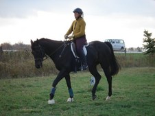 Enlarge photo 77