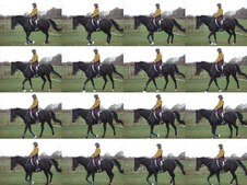 Enlarge photo 40
