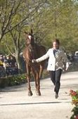 Enlarge photo 146