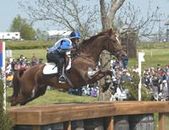 Enlarge photo 145