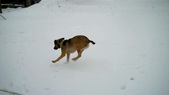 Tutti