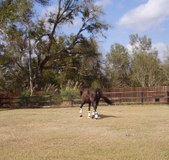 Enlarge photo 44