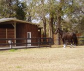 Enlarge photo 49