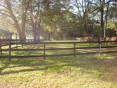 Enlarge photo 36