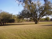 Enlarge photo 35