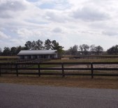 Enlarge photo 38