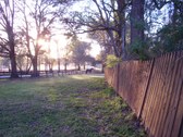 Enlarge photo 25