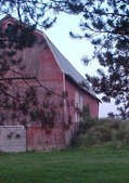 winter pasture plan