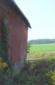 Enlarge photo 75