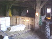 Enlarge photo 49