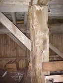 Enlarge photo 53