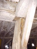 Enlarge photo 56