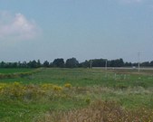 Enlarge photo 37