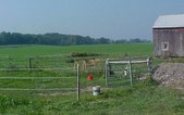 Enlarge photo 39