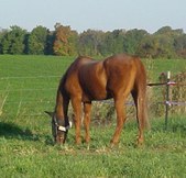 Enlarge photo 58