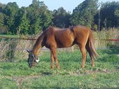 Enlarge photo 59