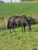 Enlarge photo 57