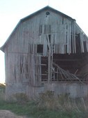 Enlarge photo 81