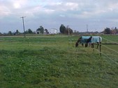 Enlarge photo 63