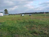 Enlarge photo 65