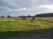 Enlarge photo 67