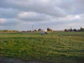 Enlarge photo 69