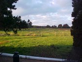 Enlarge photo 66
