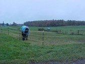 Enlarge photo 78