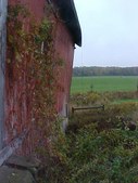 Enlarge photo 76