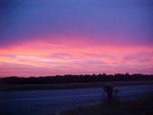 Enlarge photo 61