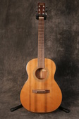 Fylde Goodfellow Acoustic 1993