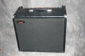 Polytone Mini S12L