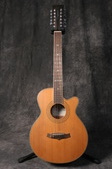 Tanglewood 12-string TW145/12SC