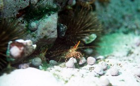 Enlarge photo 11