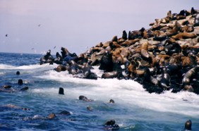 Enlarge photo 13