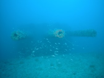 Enlarge photo 24