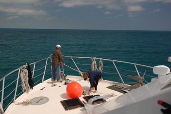 Enlarge photo 5