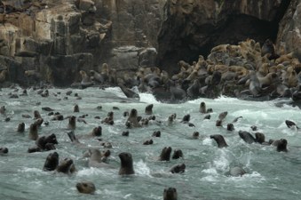 Enlarge photo 10
