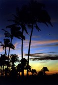 Enlarge photo 38