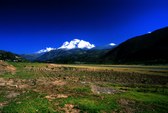 Enlarge photo 46