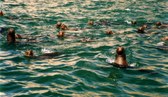 Enlarge photo 16