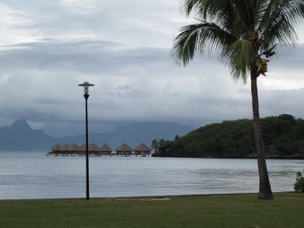 Enlarge photo 57