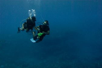 Enlarge photo 43