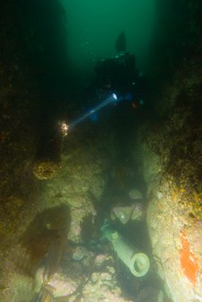 Enlarge photo 21